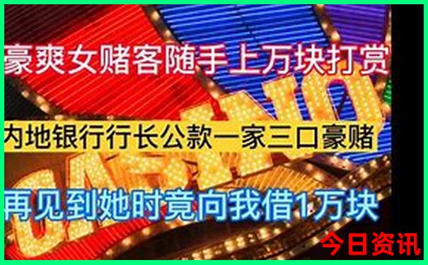 蚂蚁开过什么生肖